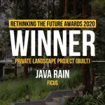 Java Rain | Ficus