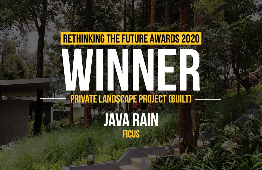 Java Rain | Ficus