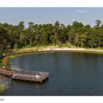 Eastern Glades at Memorial Park | Nelson Byrd Woltz Landscape Architects - Sheet5