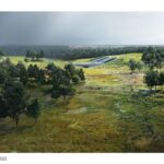 The Land Bridge & Prairie at Memorial Park | Nelson Byrd Woltz Landscape Architects - Sheet3