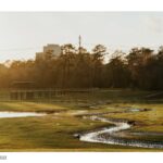 The Land Bridge & Prairie at Memorial Park | Nelson Byrd Woltz Landscape Architects - Sheet5